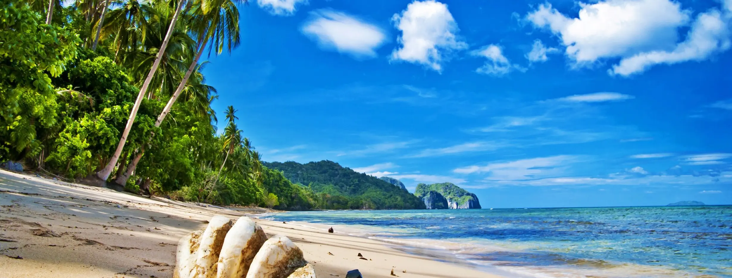 Image for Gateway to the Caribbean